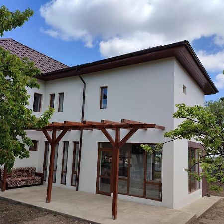 Agropensiunea Olteanu Niculitel Exterior foto