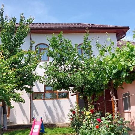 Agropensiunea Olteanu Niculitel Exterior foto