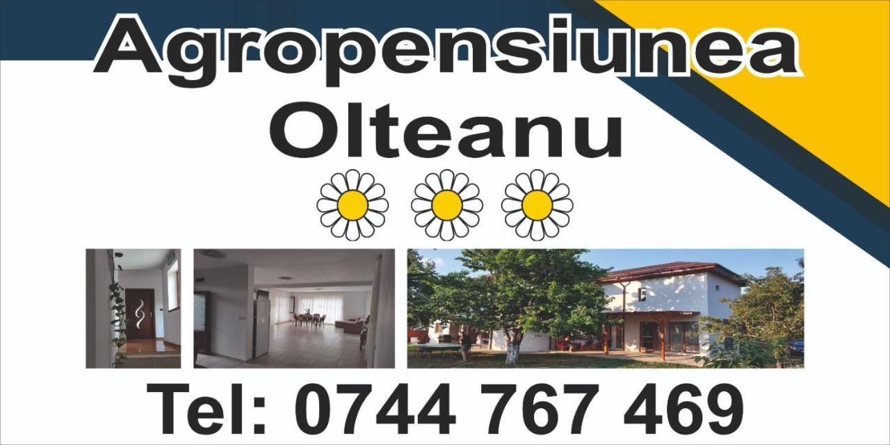 Agropensiunea Olteanu Niculitel Exterior foto